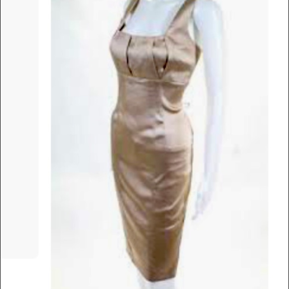 Beautiful champagne color  dress back zip